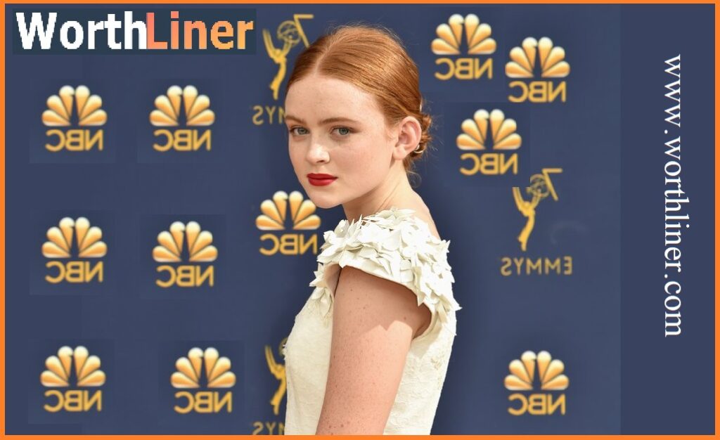 Sadie Sink Film Career
