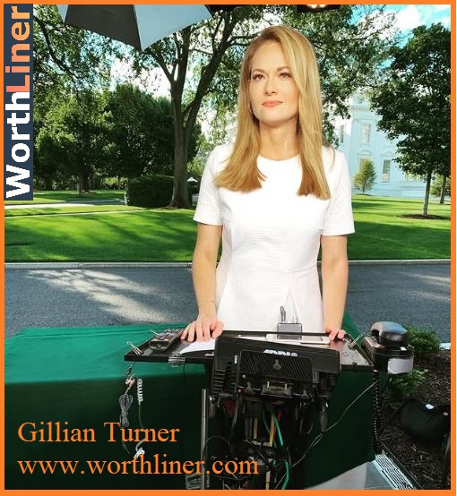 Gillian Turner Career