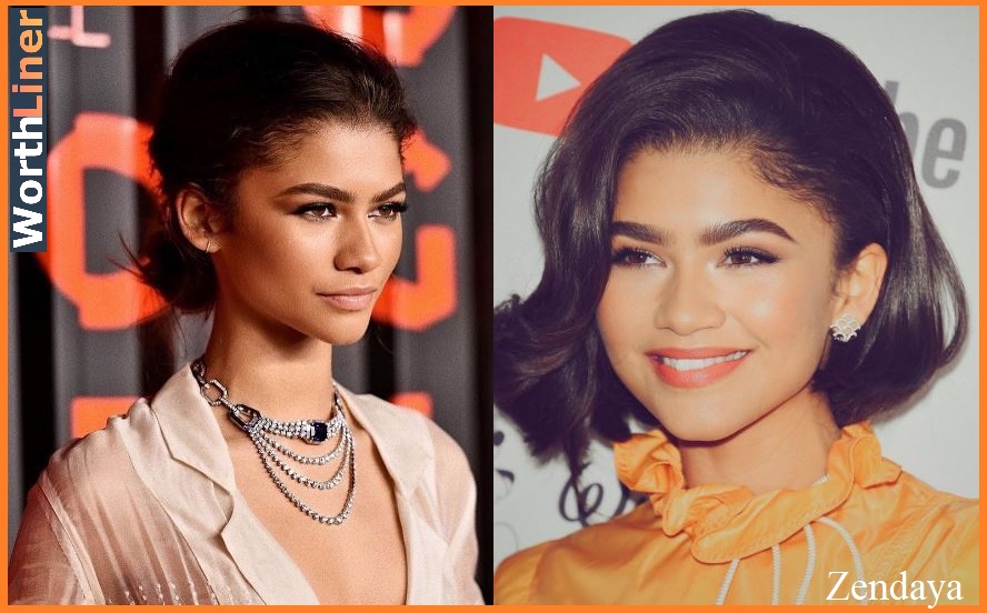 Zendaya at a glance