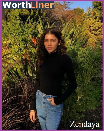 Zendaya Interesting Facts